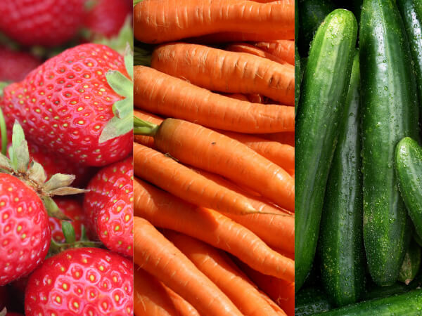 First Step Nutrition & Wellness Programme